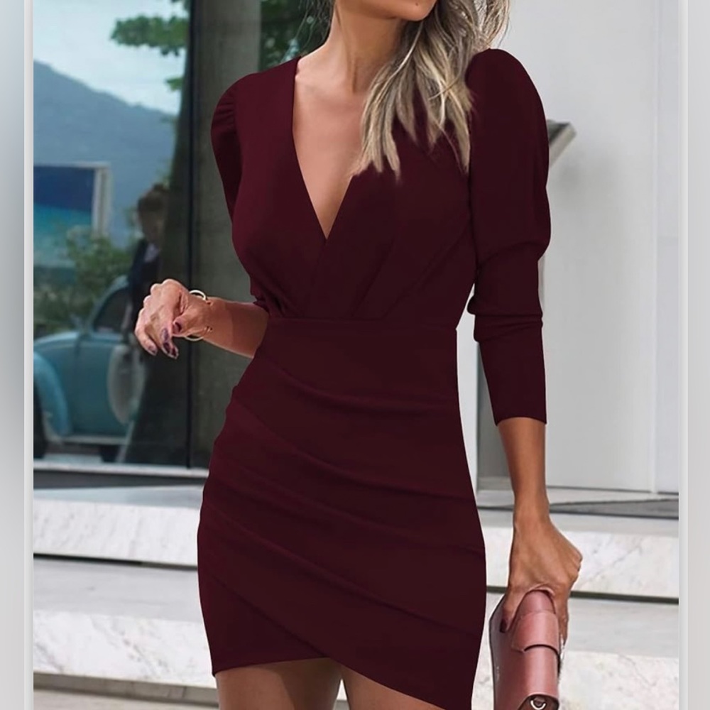 Sarin Mathews Womens V Neck Bodycon Dress, Long Sleeve, Ruched Wrap